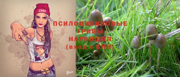 гидра Абинск
