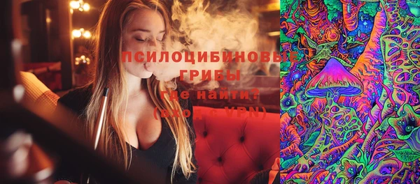 крисы Абдулино