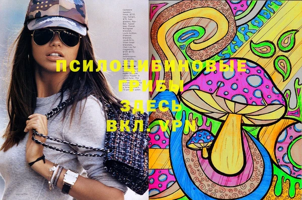 гидра Абинск