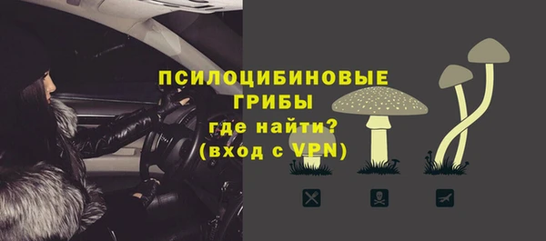 крисы Абдулино