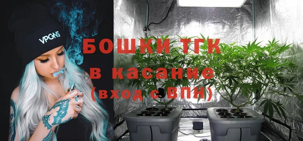 крисы Абдулино